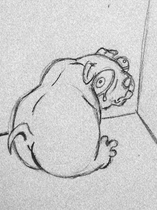 Sad Dog