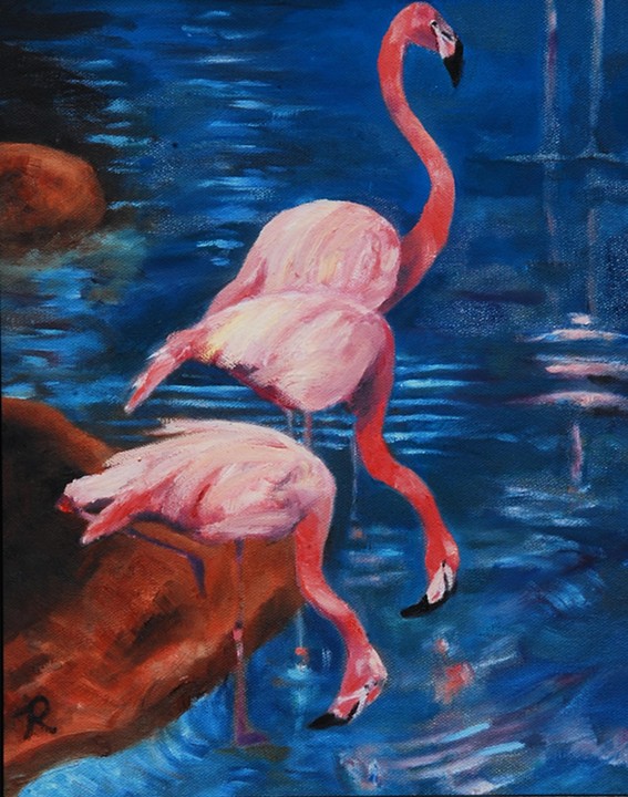 Flamingos