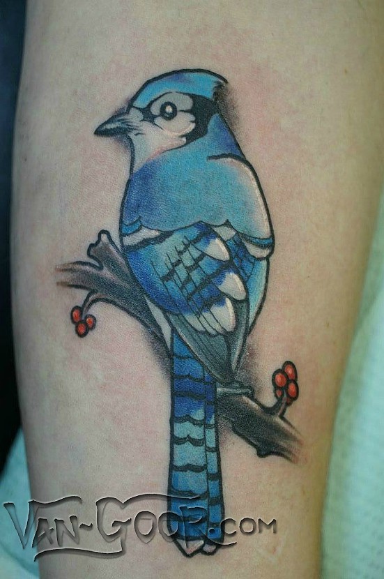 Lagniappe Custom Tattoo Studio Blue Jay