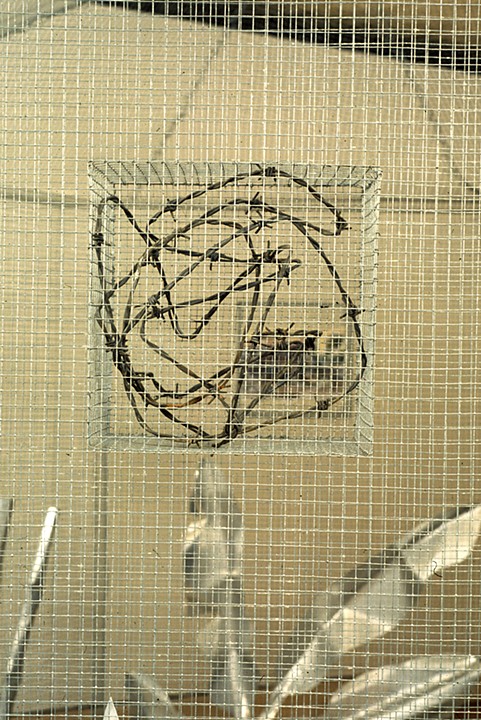 Marina Gutierrez - Room For Recollection - BarbedWire Box