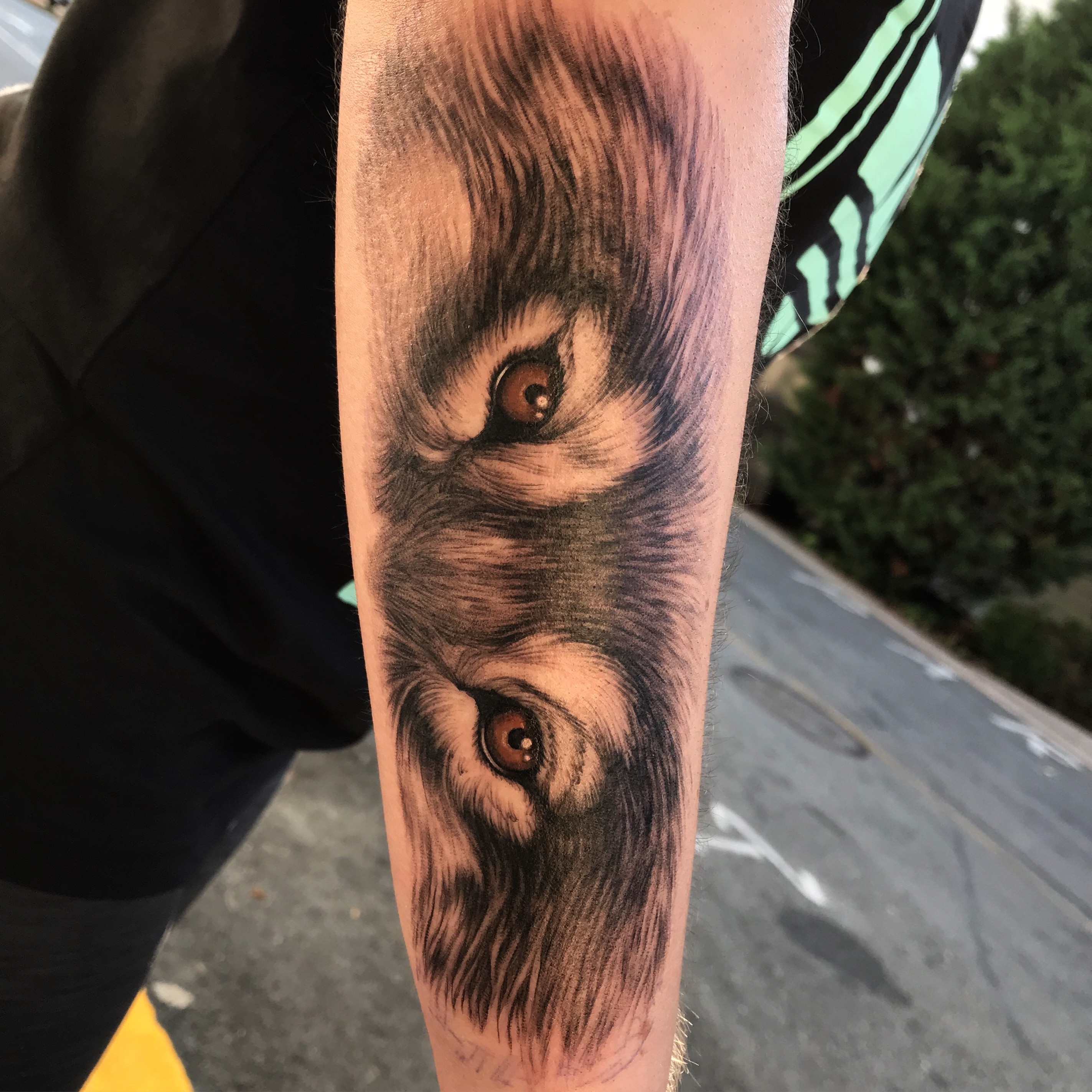 Maegan LeMay Art, image size:2846x2846