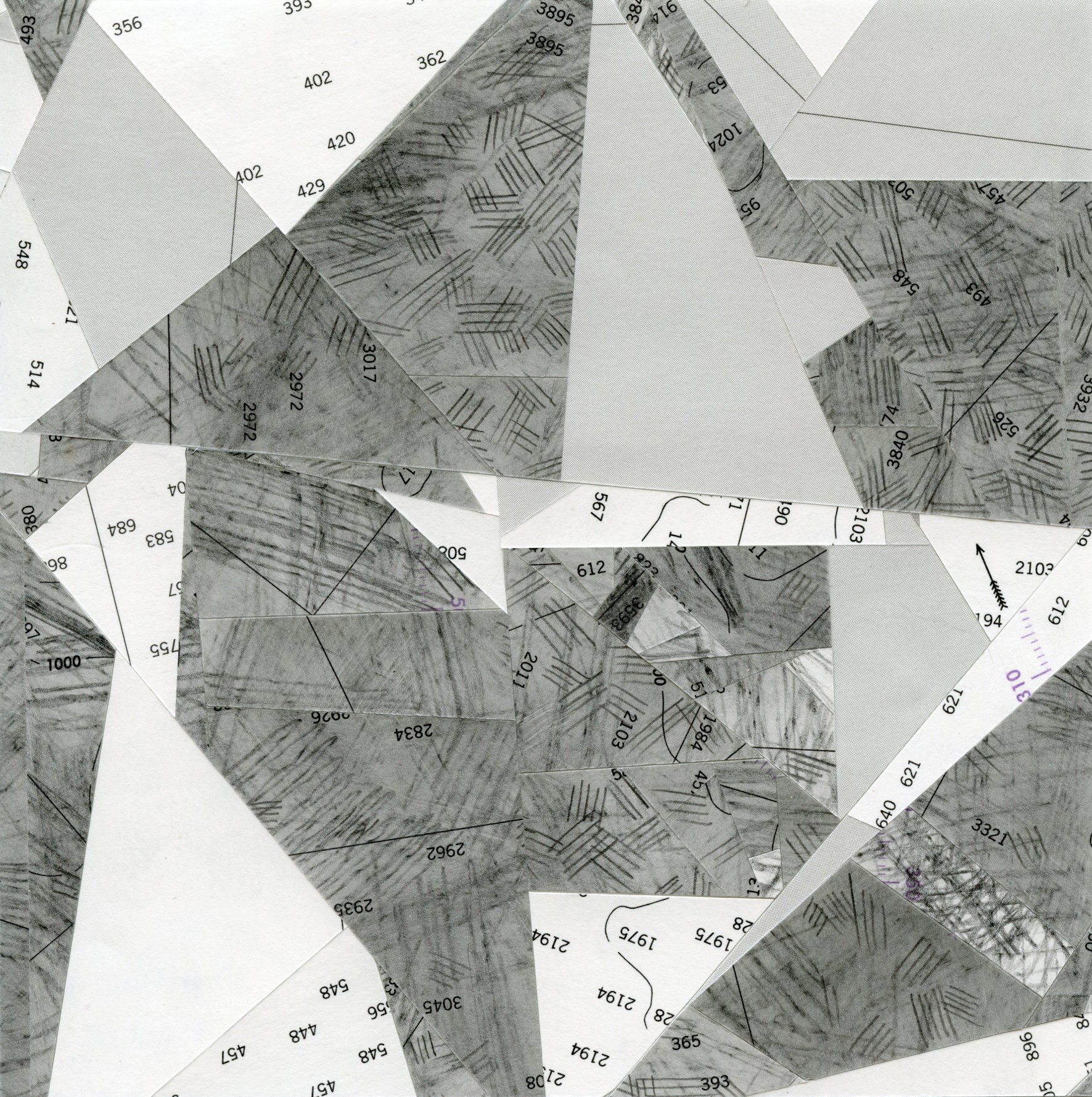 Thesis shannon grey 04 picture