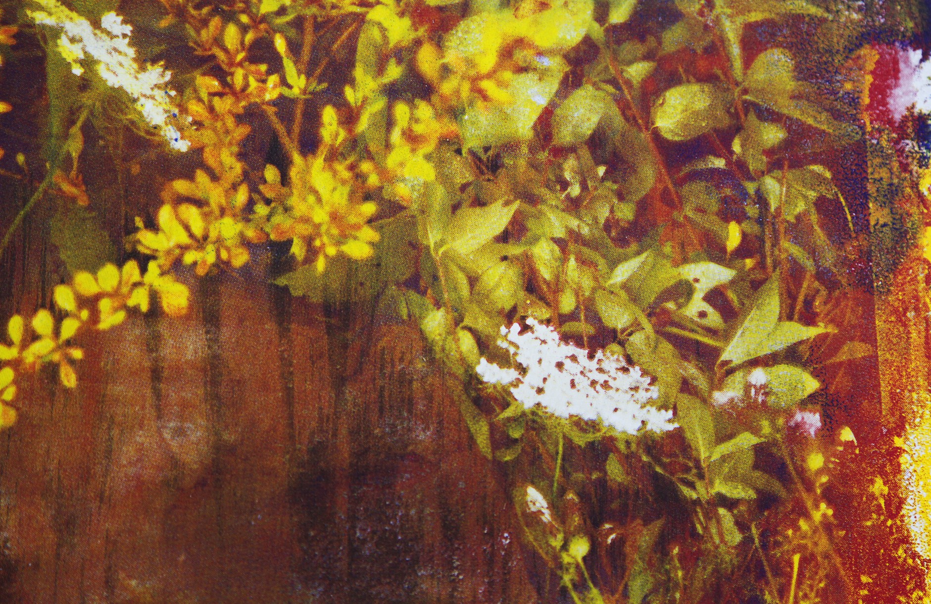 CHRISTOPHER CARROLL